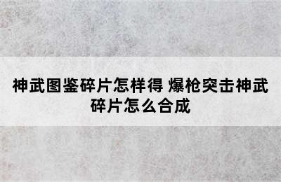 神武图鉴碎片怎样得 爆枪突击神武碎片怎么合成